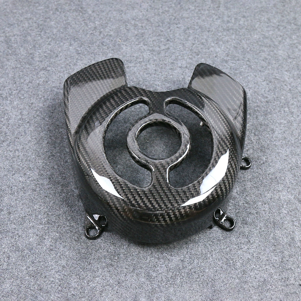 Harley-Davidson V-Rod 1250 Carbon Fiber Plug Cover Side Panel